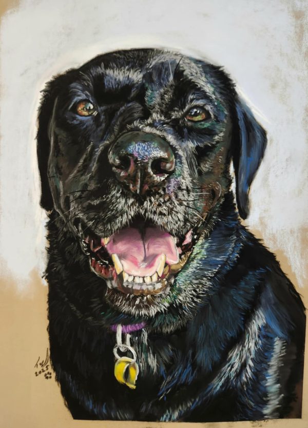 Tara's Custom Pet Portraits - Image 2