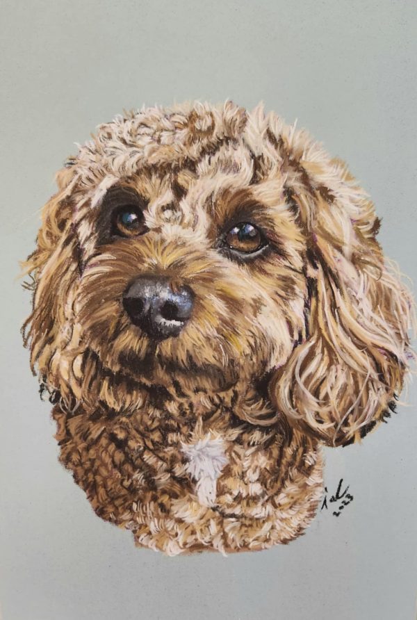Tara's Custom Pet Portraits - Image 5