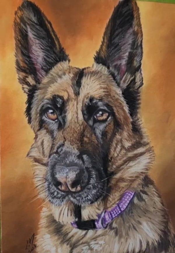 Tara's Custom Pet Portraits - Image 4