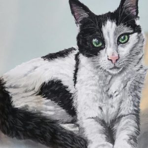 Tara's Custom Pet Portraits