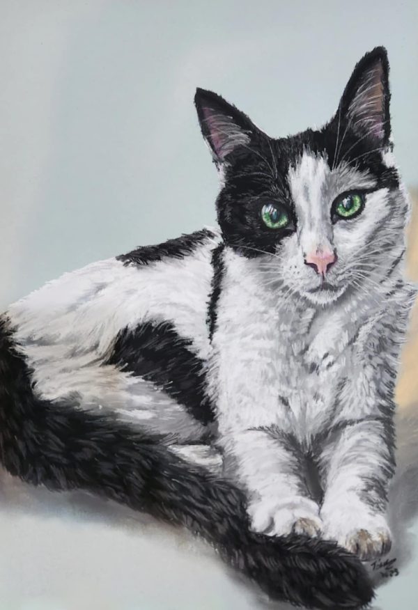 Tara's Custom Pet Portraits